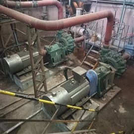 工礦業濃漿泵(bèng)